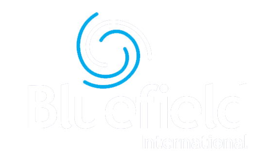 Bluefield International